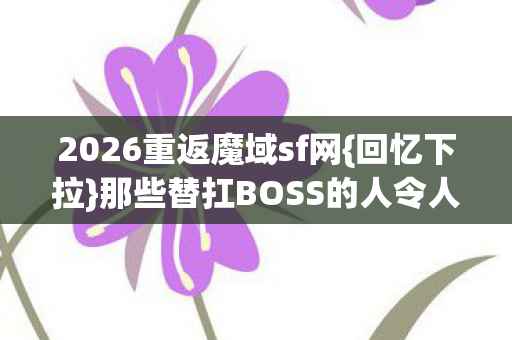 那些替扛BOSS的人令人动容图片
