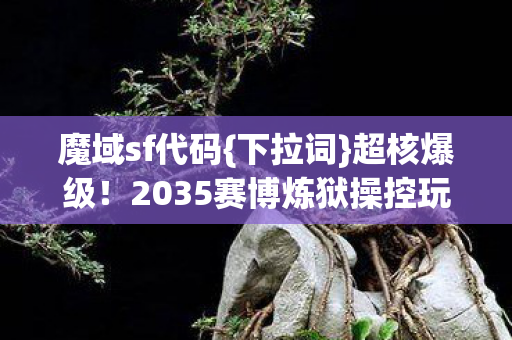 2035赛博炼狱操控玩家神经图片