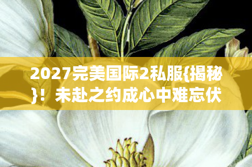 2027完美国际2私服{揭秘}!未赴之约成心中难忘伏笔 2027完美国际2私服{揭秘}!未赴之约成心中难忘伏笔