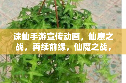 诛仙手游宣传动画,仙魔之战,再续前缘,仙魔之战,诛仙手游宣传动画再续前缘 诛仙手游宣传动画,仙魔之战,再续前缘,仙魔之战,诛仙手游宣传动画再续前缘