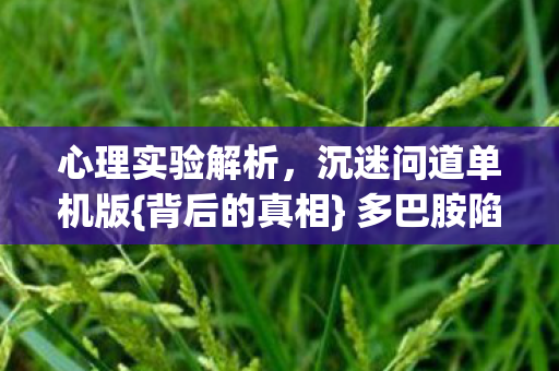 沉迷问道单机版图片