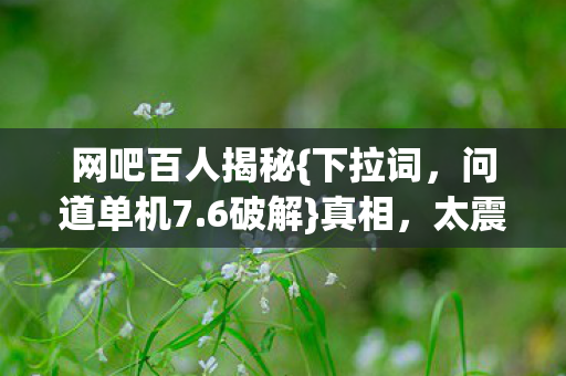 网吧百人揭秘图片