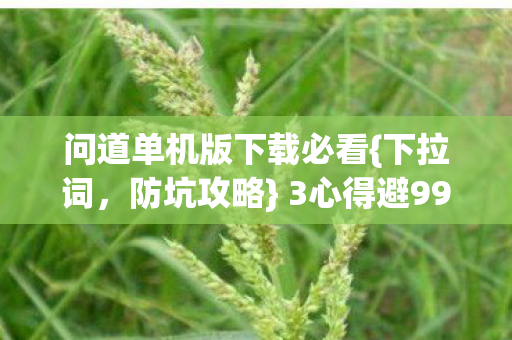 问道单机版下载必看图片