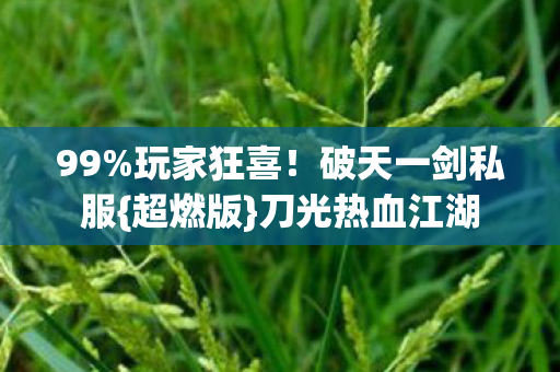 破天一剑私服图片