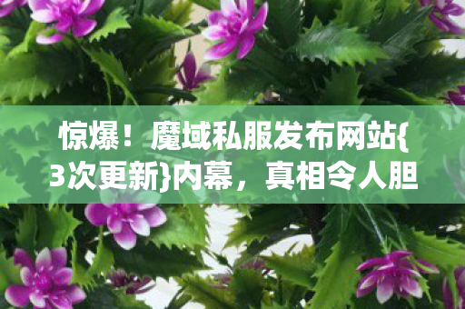 魔域私服发布网站图片