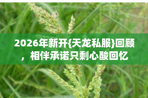 2026年新开{天龙私服}回顾,相伴承诺只剩心酸回忆 2026年新开{天龙私服}回顾,相伴承诺只剩心酸回忆