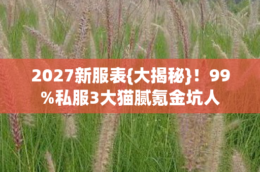 2027新服表{大揭秘}!99%私服3大猫腻氪金坑人 2027新服表{大揭秘}!99%私服3大猫腻氪金坑人
