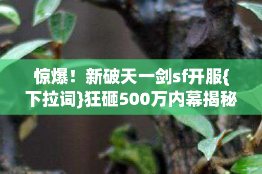 狂砸500万内幕揭秘图片