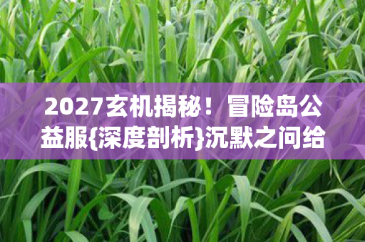2027玄机揭秘图片