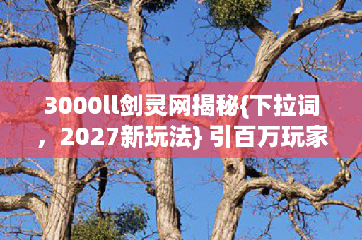 3000ll剑灵网揭秘图片
