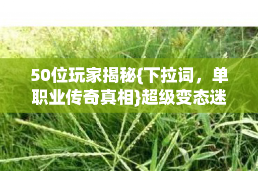 50位玩家揭秘{下拉词，单职业传奇真相}超级变态迷失传奇网