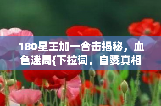 180星王加一合击揭秘图片