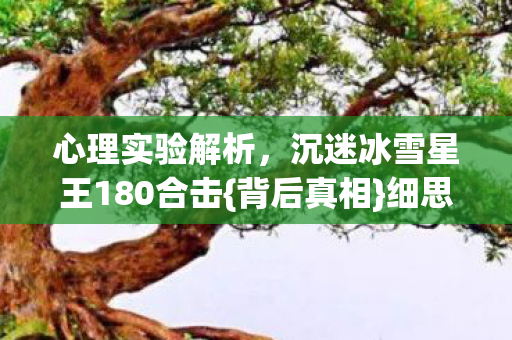 沉迷冰雪星王180合击图片