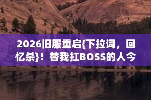 替我扛BOSS的人今何在图片