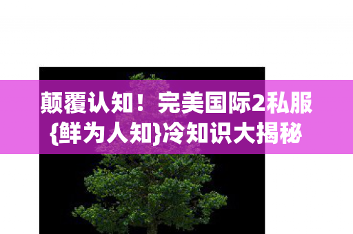 完美国际2私服图片