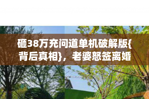 砸38万充问道单机破解版图片
