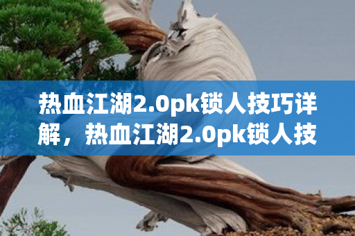 热血江湖2.0pk锁人技巧详解，热血江湖2.0pk锁人技巧全解析