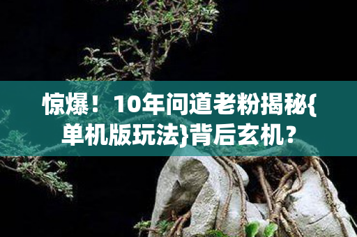 惊爆！10年问道老粉揭秘{单机版玩法}背后玄机？
