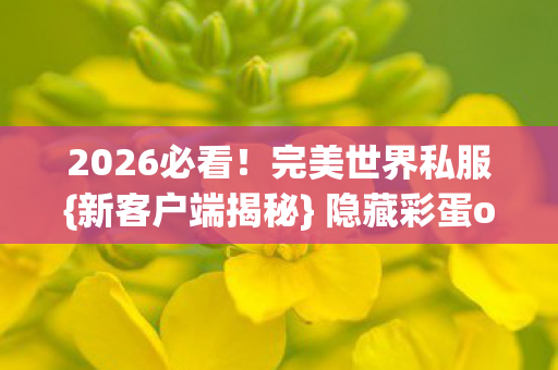 2026必看!完美世界私服{新客户端揭秘} 隐藏彩蛋or陷阱? 2026必看!完美世界私服{新客户端揭秘} 隐藏彩蛋or陷阱?