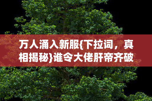 万人涌入新服{下拉词，真相揭秘}谁令大佬肝帝齐破防？