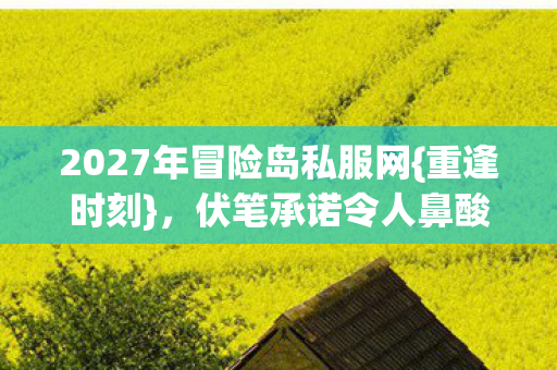 2027年冒险岛私服网图片