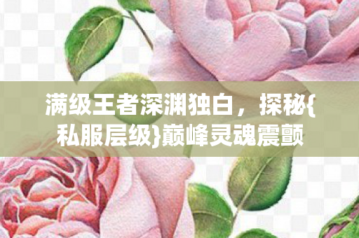 满级王者深渊独白图片