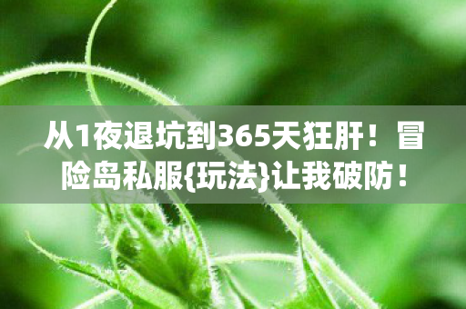 从1夜退坑到365天狂肝图片