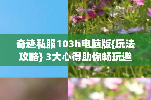 奇迹私服103h电脑版图片