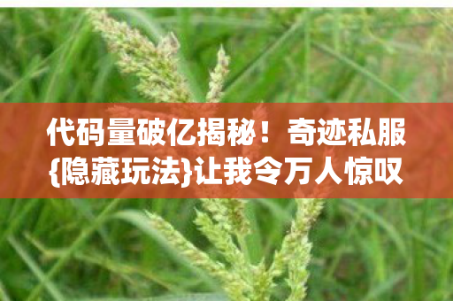 代码量破亿揭秘图片