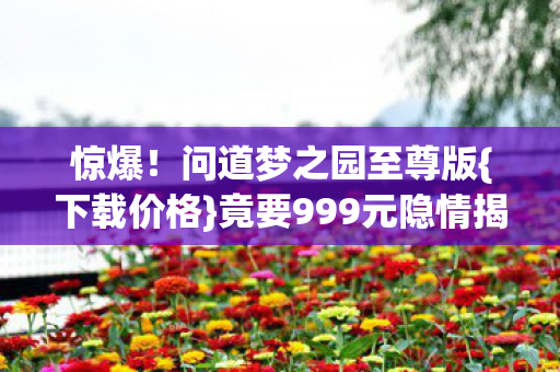 惊爆!问道梦之园至尊版{下载价格}竟要999元隐情揭秘 惊爆!问道梦之园至尊版{下载价格}竟要999元隐情揭秘