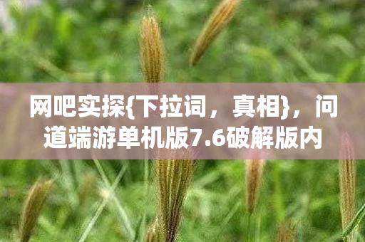 网吧实探{下拉词,真相},问道端游单机版7.6破解版内幕 网吧实探{下拉词,真相},问道端游单机版7.6破解版内幕