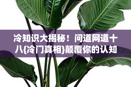 冷知识大揭秘！问道网道十八{冷门真相}颠覆你的认知！