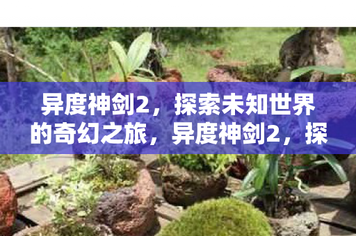 异度神剑2,探索未知世界的奇幻之旅,异度神剑2,探索未知世界的奇幻之旅 异度神剑2,探索未知世界的奇幻之旅,异度神剑2,探索未知世界的奇幻之旅