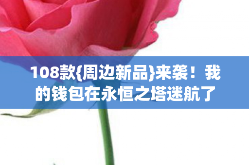 我的钱包在永恒之塔迷航了图片