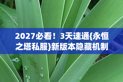 新版本隐藏机制大揭秘图片
