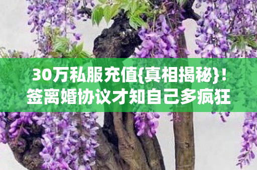 30万私服充值{真相揭秘}！签离婚协议才知自己多疯狂