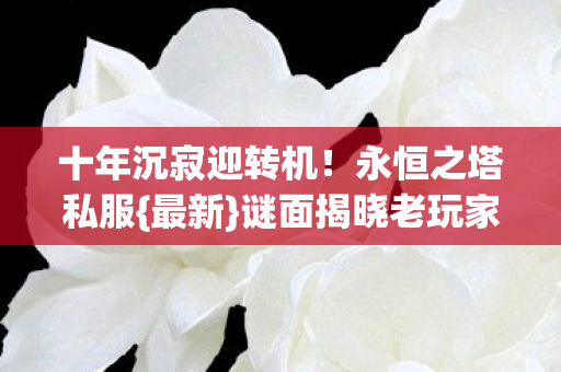 谜面揭晓老玩家重逢图片