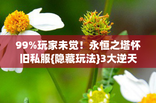 永恒之塔怀旧私服图片