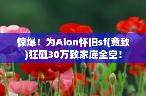 狂砸30万致家底全空图片