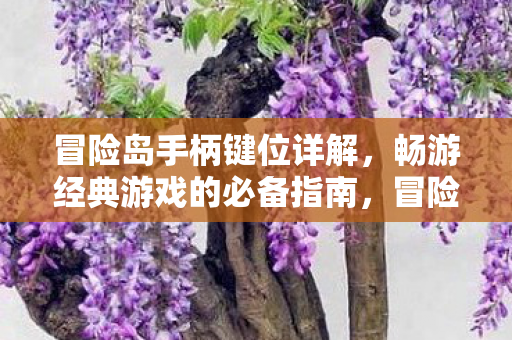 冒险岛手柄键位详解,畅游经典游戏的必备指南,冒险岛手游键位详解,畅游经典游戏的必备指南 冒险岛手柄键位详解,畅游经典游戏的必备指南,冒险岛手游键位详解,畅游经典游戏的必备指南