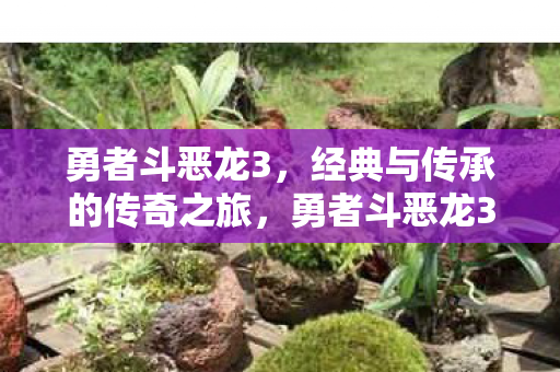 勇者斗恶龙3，经典与传承的传奇之旅，勇者斗恶龙3，经典传奇的传承之旅