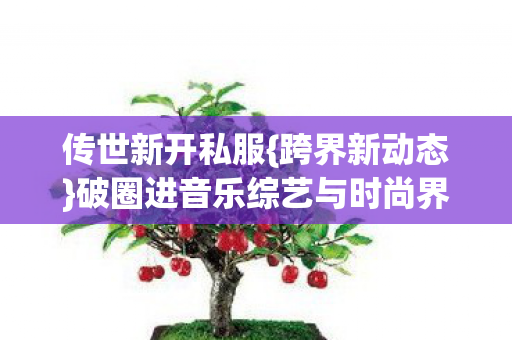 传世新开私服{跨界新动态}破圈进音乐综艺与时尚界 传世新开私服{跨界新动态}破圈进音乐综艺与时尚界