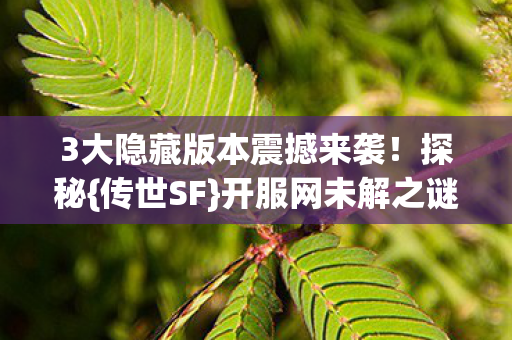 3大隐藏版本震撼来袭!探秘{传世SF}开服网未解之谜 3大隐藏版本震撼来袭!探秘{传世SF}开服网未解之谜