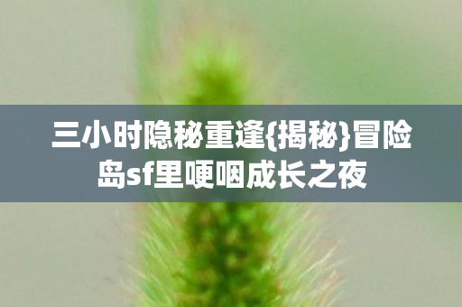 冒险岛sf里哽咽成长之夜图片