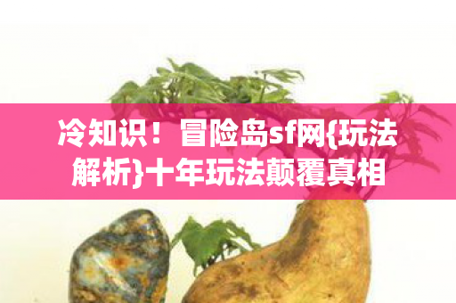 十年玩法颠覆真相图片