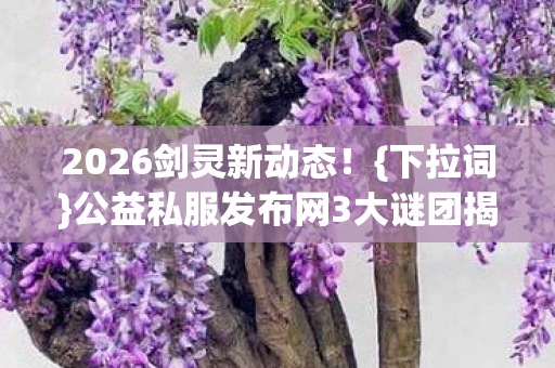 公益私服发布网3大谜团揭秘图片