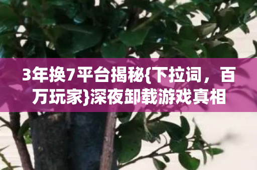 3年换7平台揭秘图片