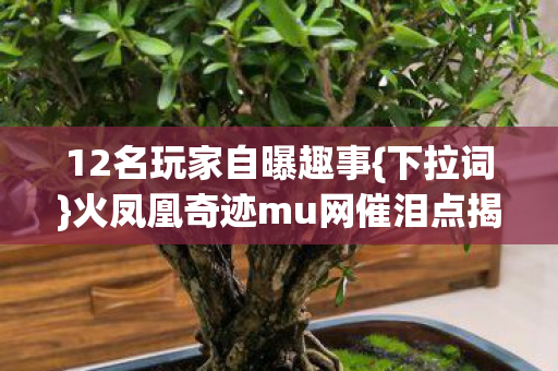 火凤凰奇迹mu网催泪点揭秘图片