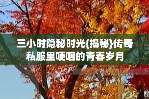 传奇私服里哽咽的青春岁月图片