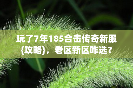 玩了7年185合击传奇新服图片